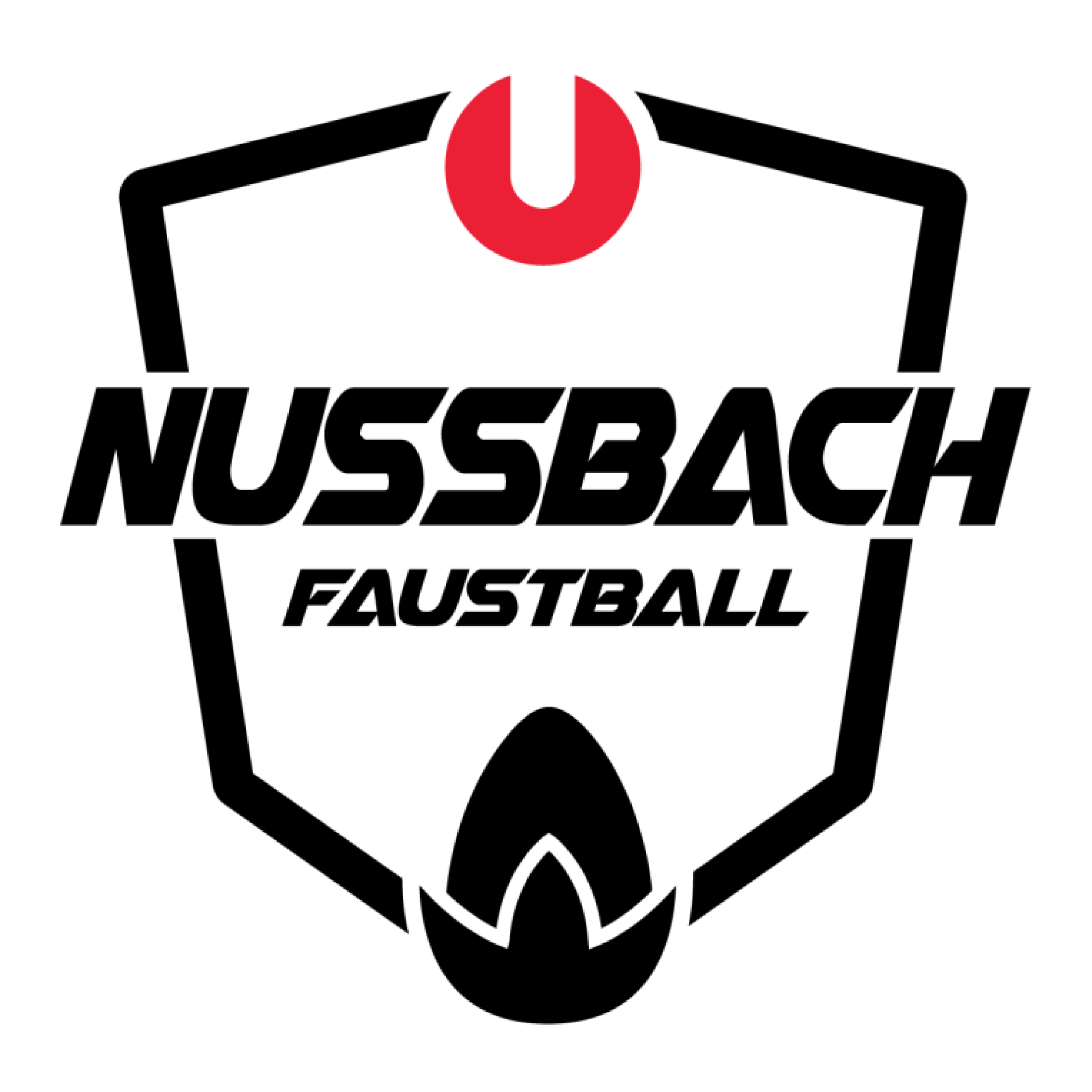 Semi-final WTF 2022, SOGIPA vs Union Nussbach. #punhobol #fistball #